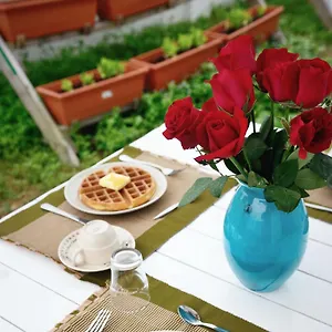 https://eco-bed-and-breakfast.johorbahruhotels.net